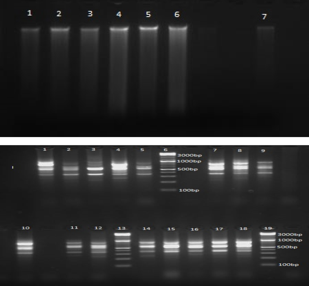 Figure 2: