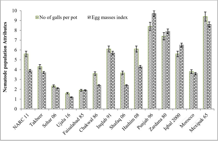 Figure 2: