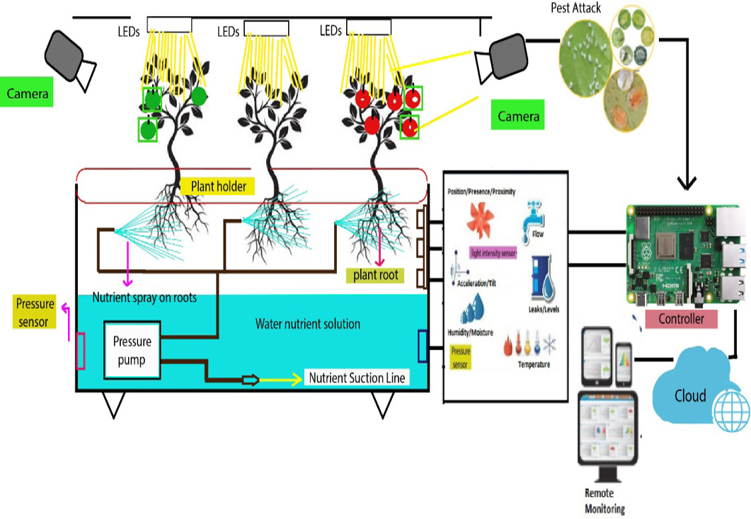Figure 1: