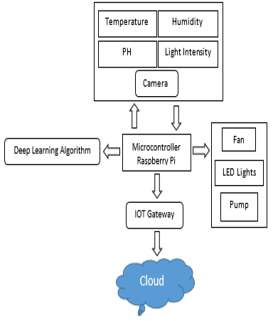 Figure 7: