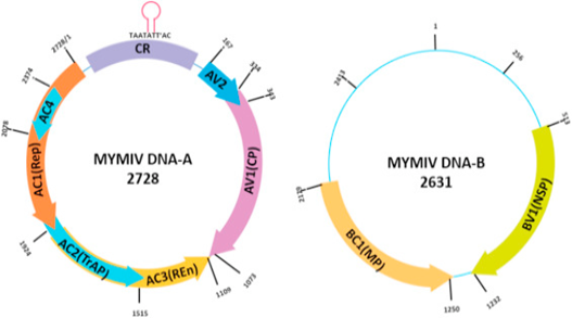 Figure 2: