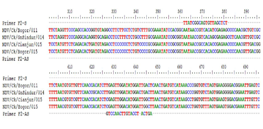 Figure 5