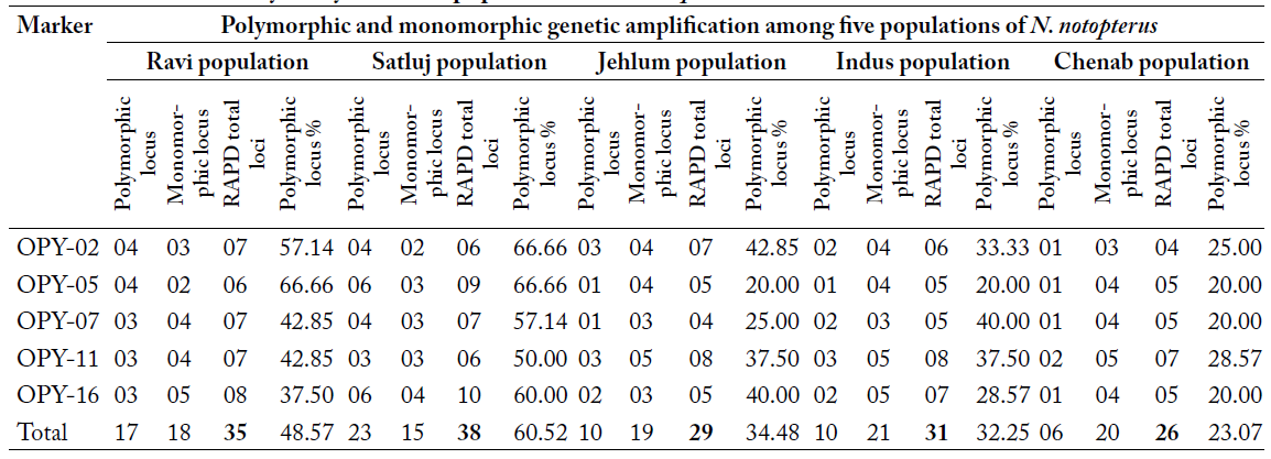 Table 5: