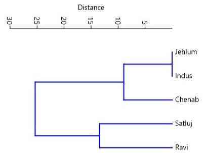 Figure 5: