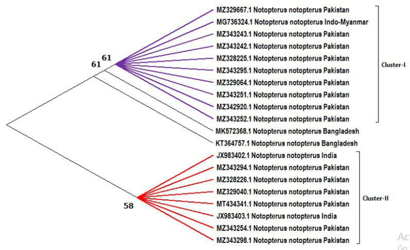 Figure 3: