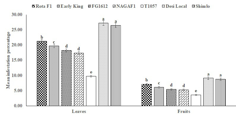 Figure 3: