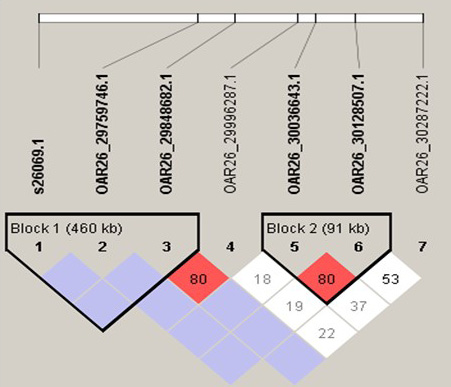 Fig. 4.