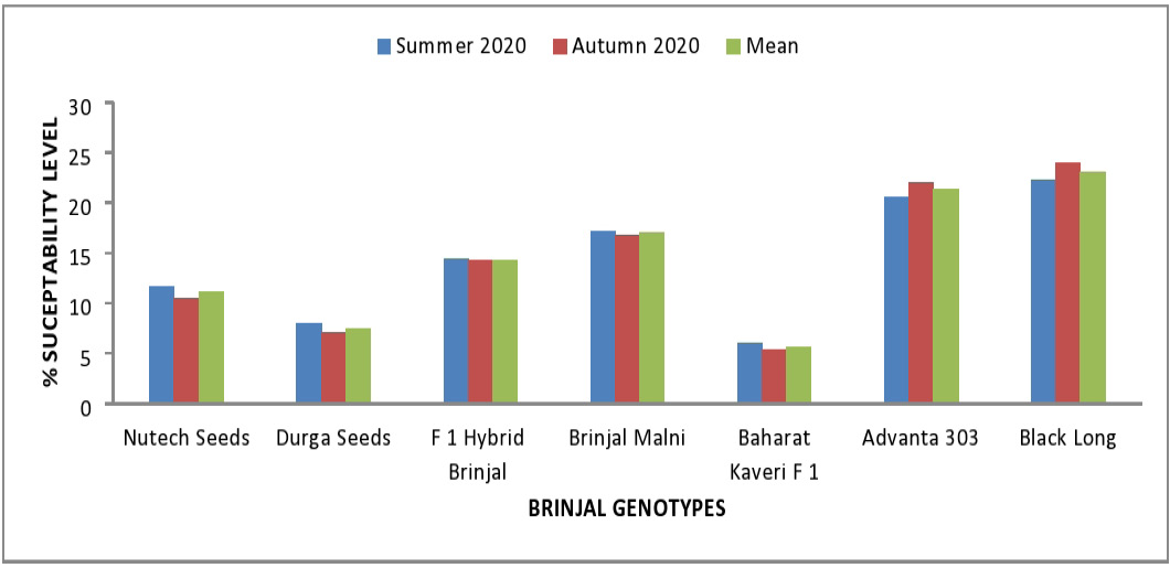 Figure 2: