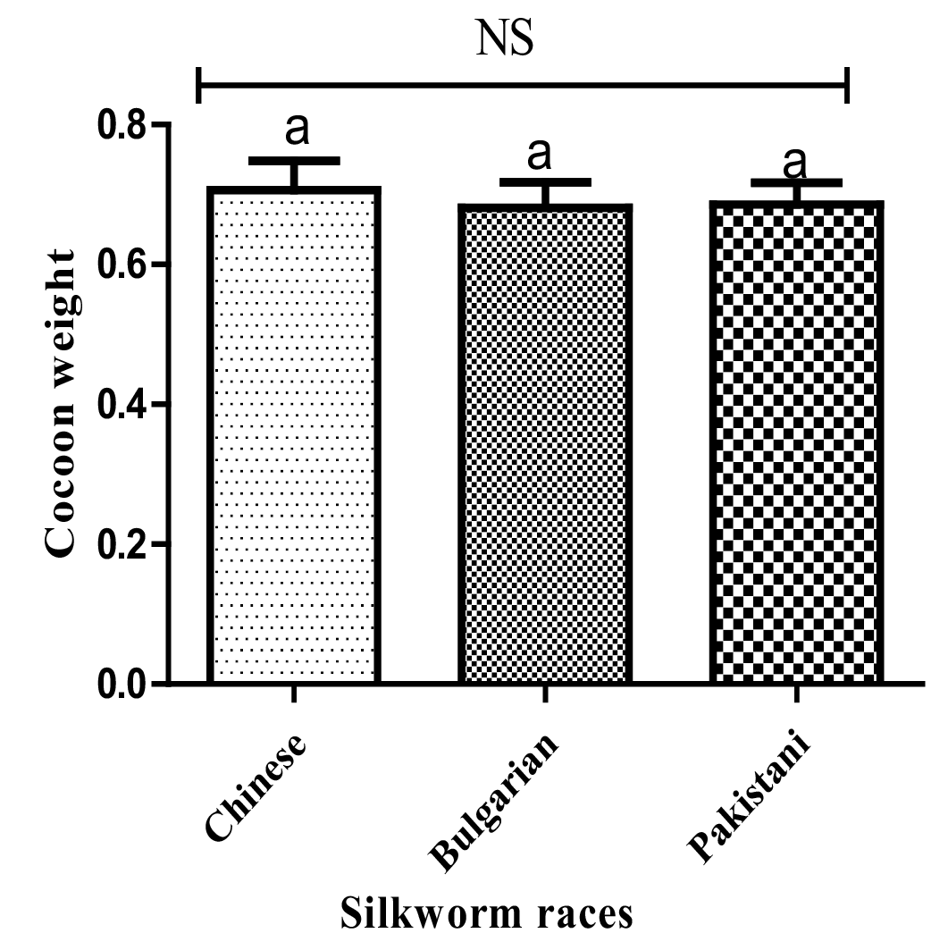 Figure 3: