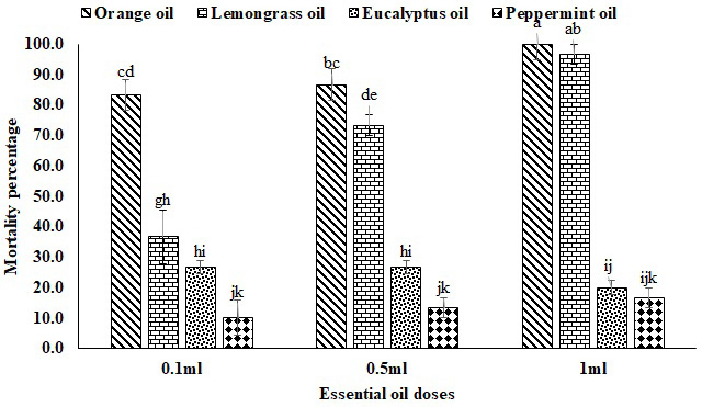 Figure 3: