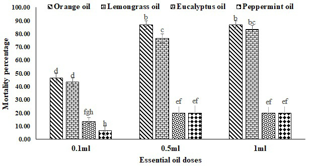 Figure 7: