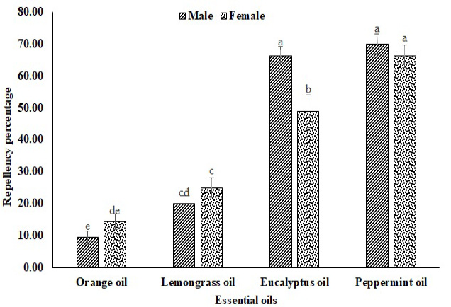 Figure 13: