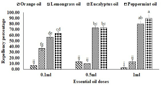 Figure 10: