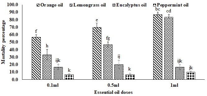 Figure 2: