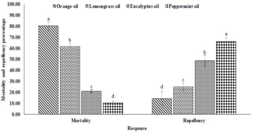 Figure 6: