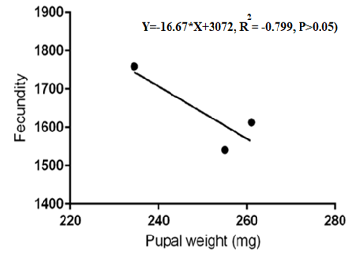 Figure 7: