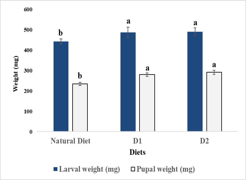 Figure 4: