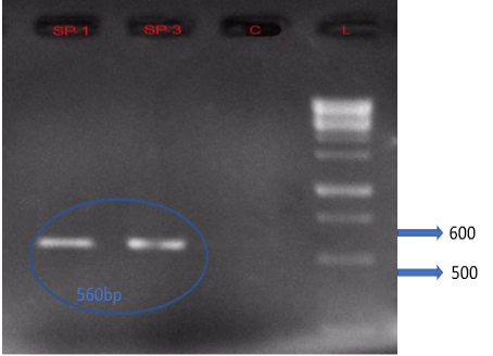 Figure 5: