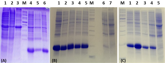 Fig. 5.