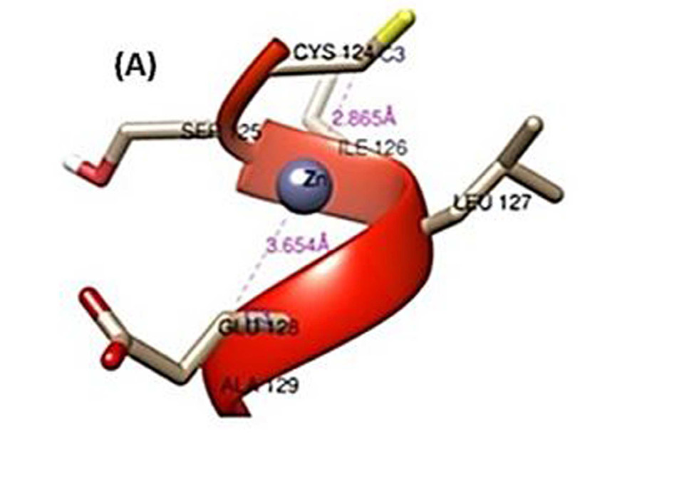 Fig. 12.