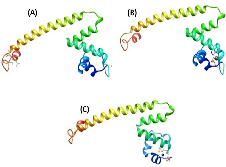 Fig. 10.
