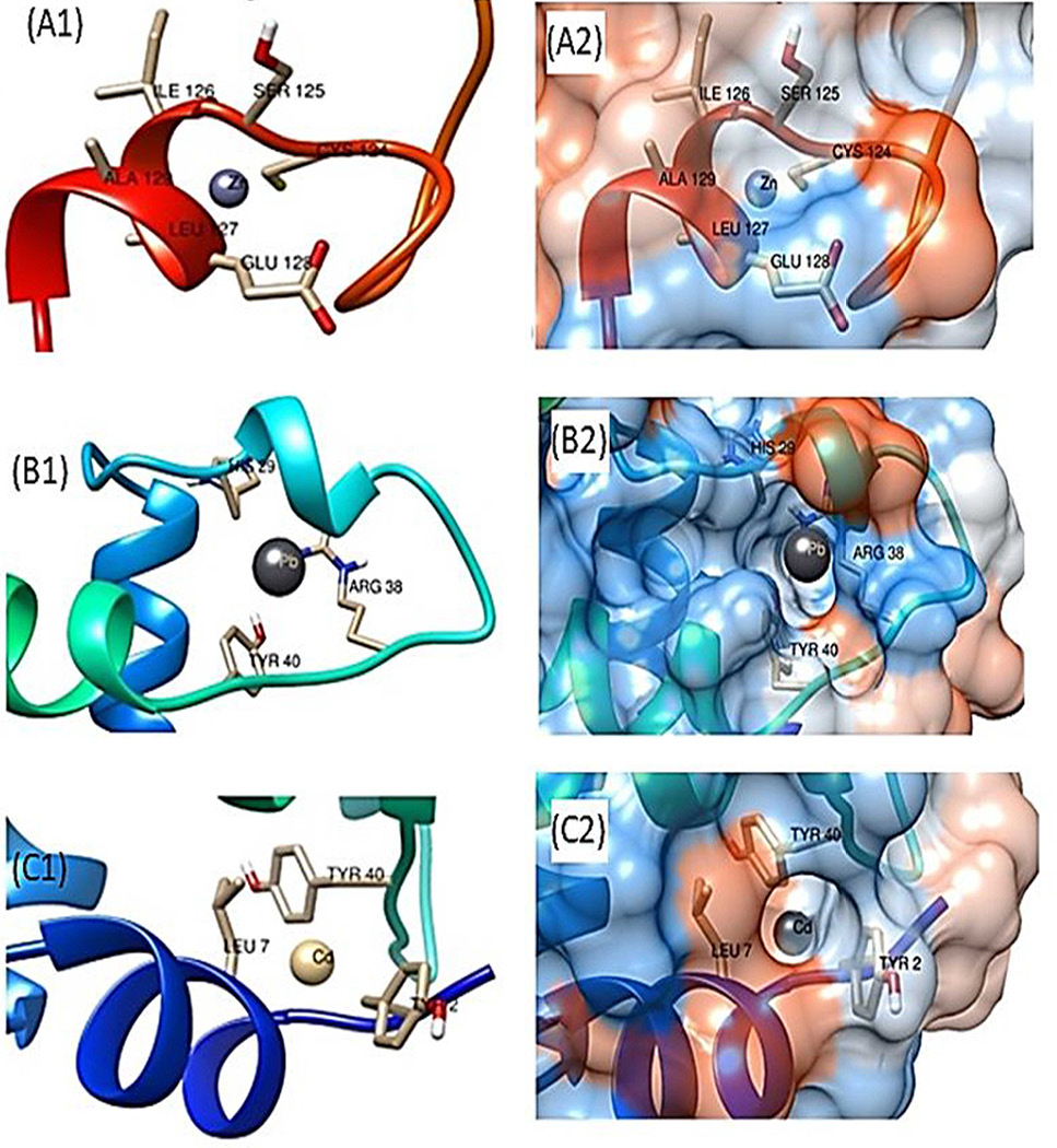 Fig. 11.