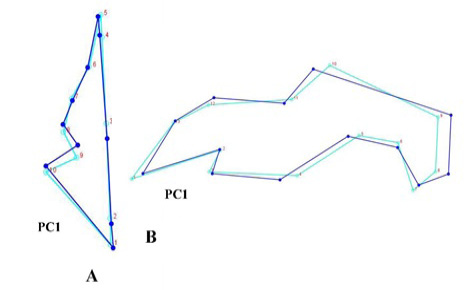 Fig. 5.