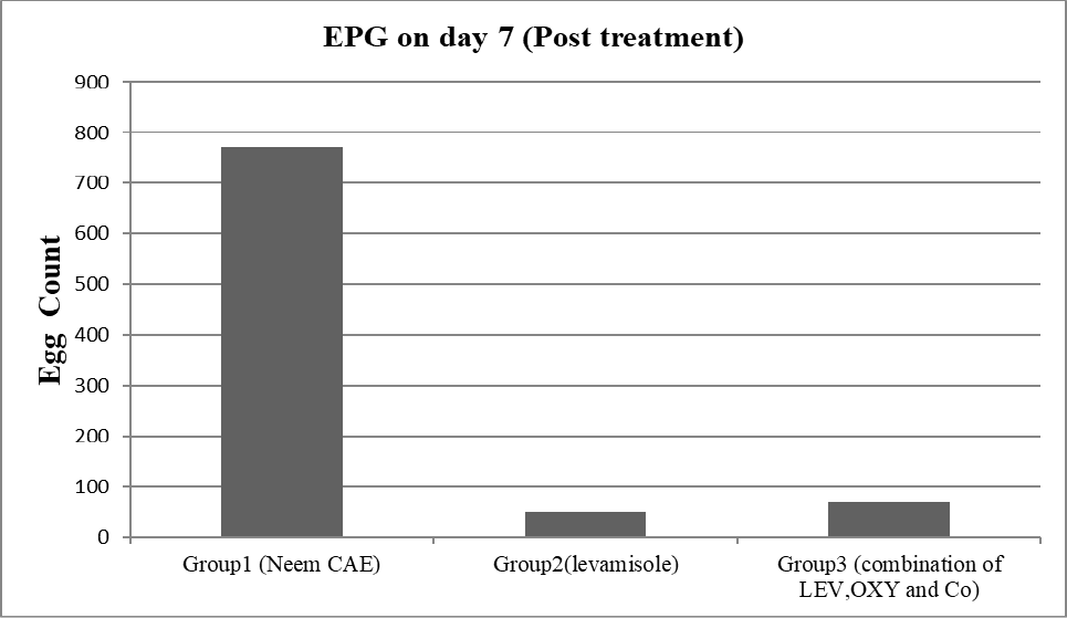 Figure 5: