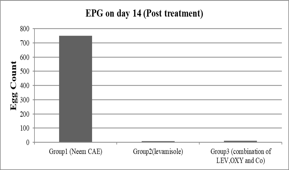 Figure 6: