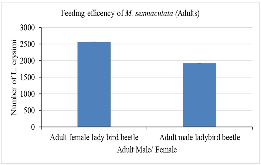 Figure 4: