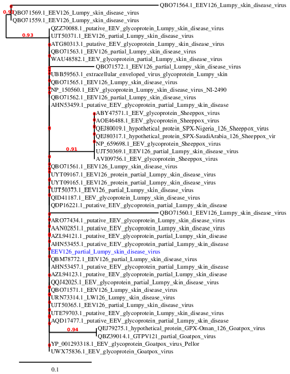 Figure 2: