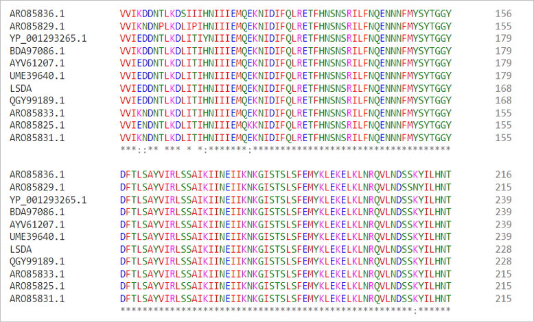 Figure 5: