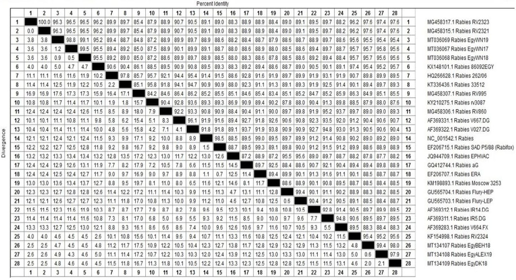 Figure 9: