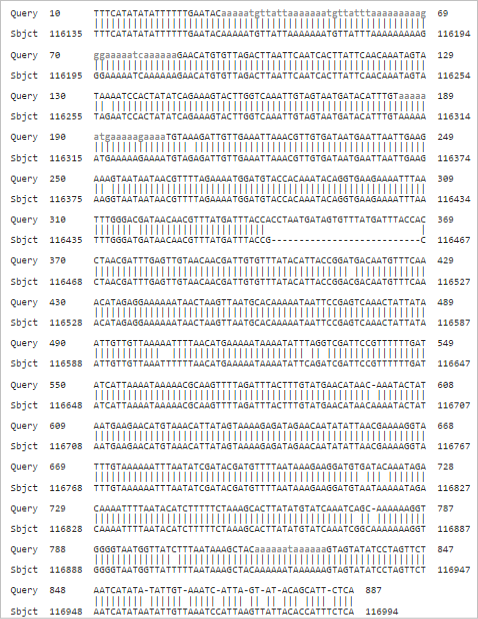 Figure 4:
