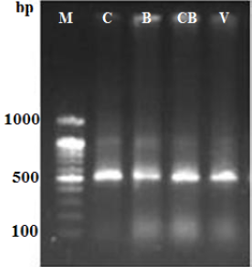 Figure 2: