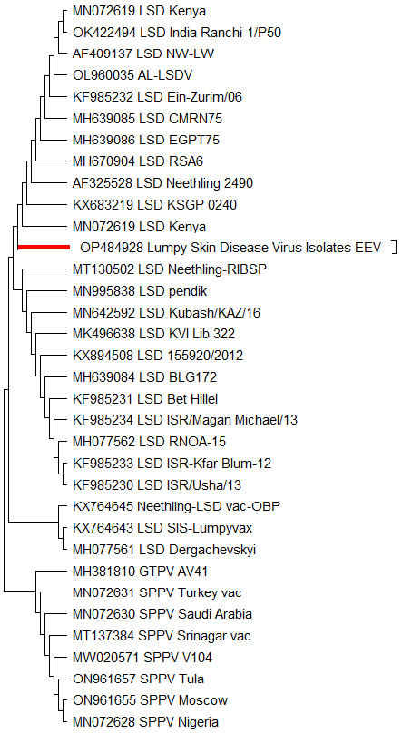 Figure 2: