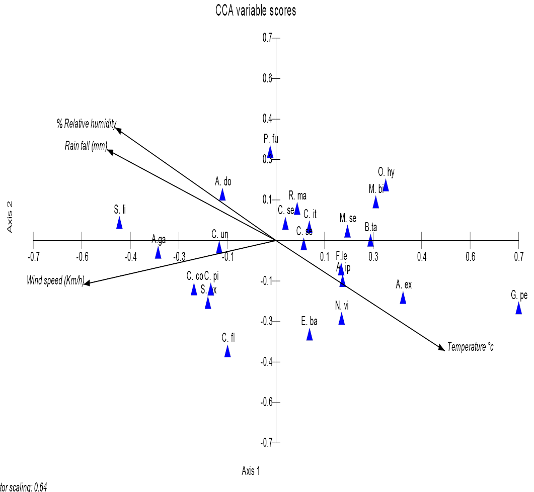 Figure 4: