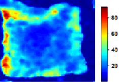 Figure 7: