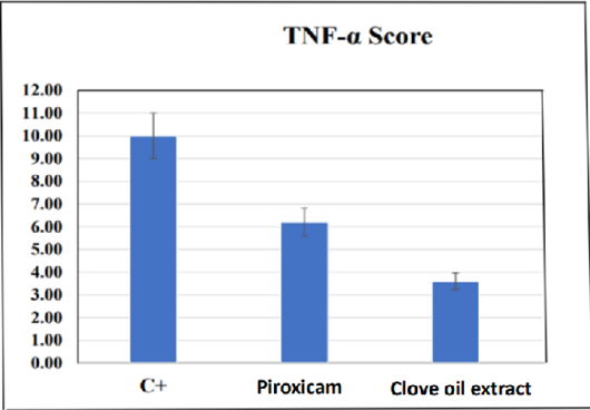 Figure 6: