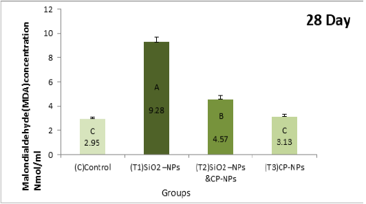 Figure 5C