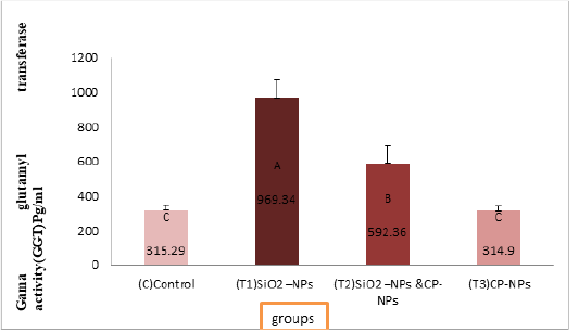 Figure 5D