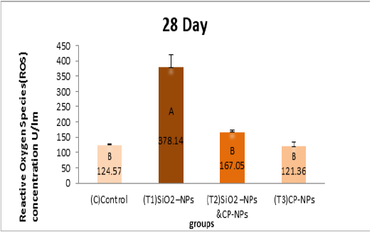 Figure 5B
