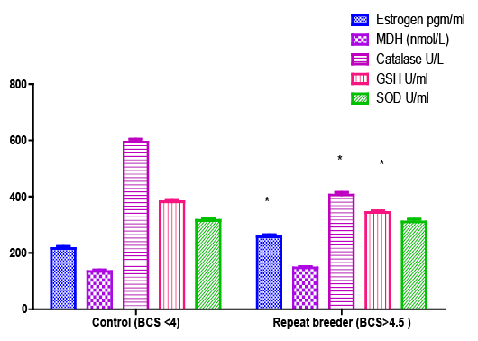 Figure 4: