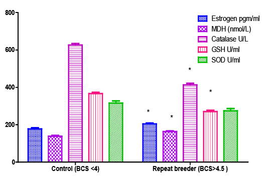 Figure 5: