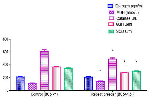 Figure 3: