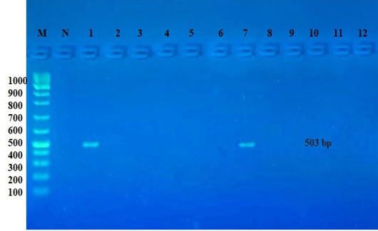 Figure 2: