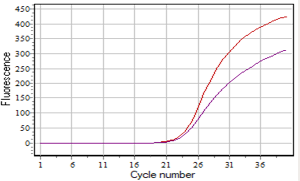 Figure 3: