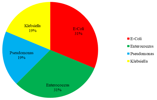 Figure 4: