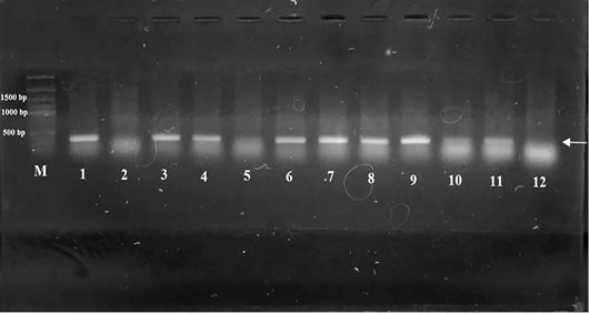 Figure 7:
