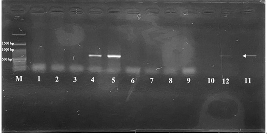Figure 4: